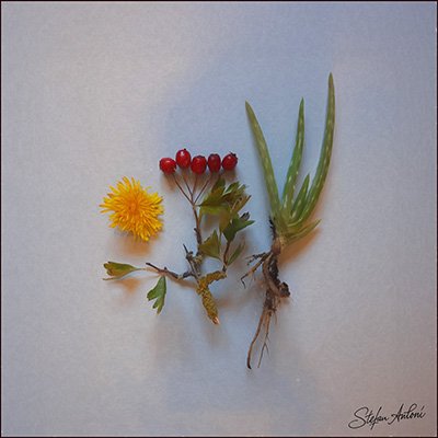 Open the Be Inspired digital jigsaw gallery